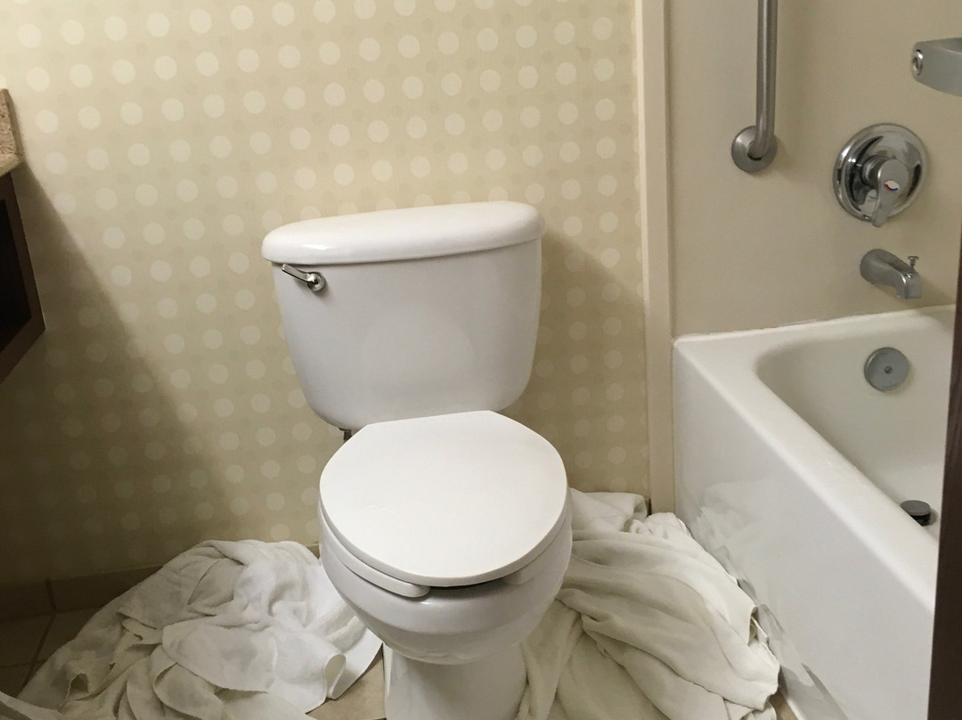 Holiday Inn Express Richmond I-64 Short Pump Area by IHG主图