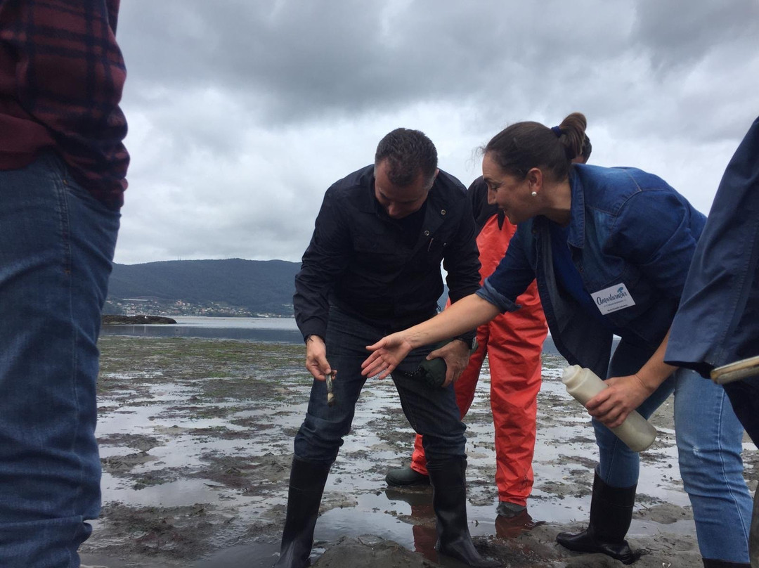 Bluscus Turismo Marinero-比戈必去景点