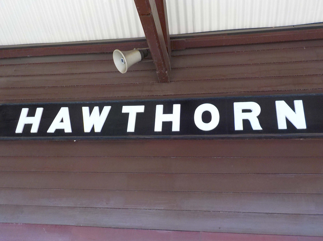 Hawthorn Railway Station景点图片