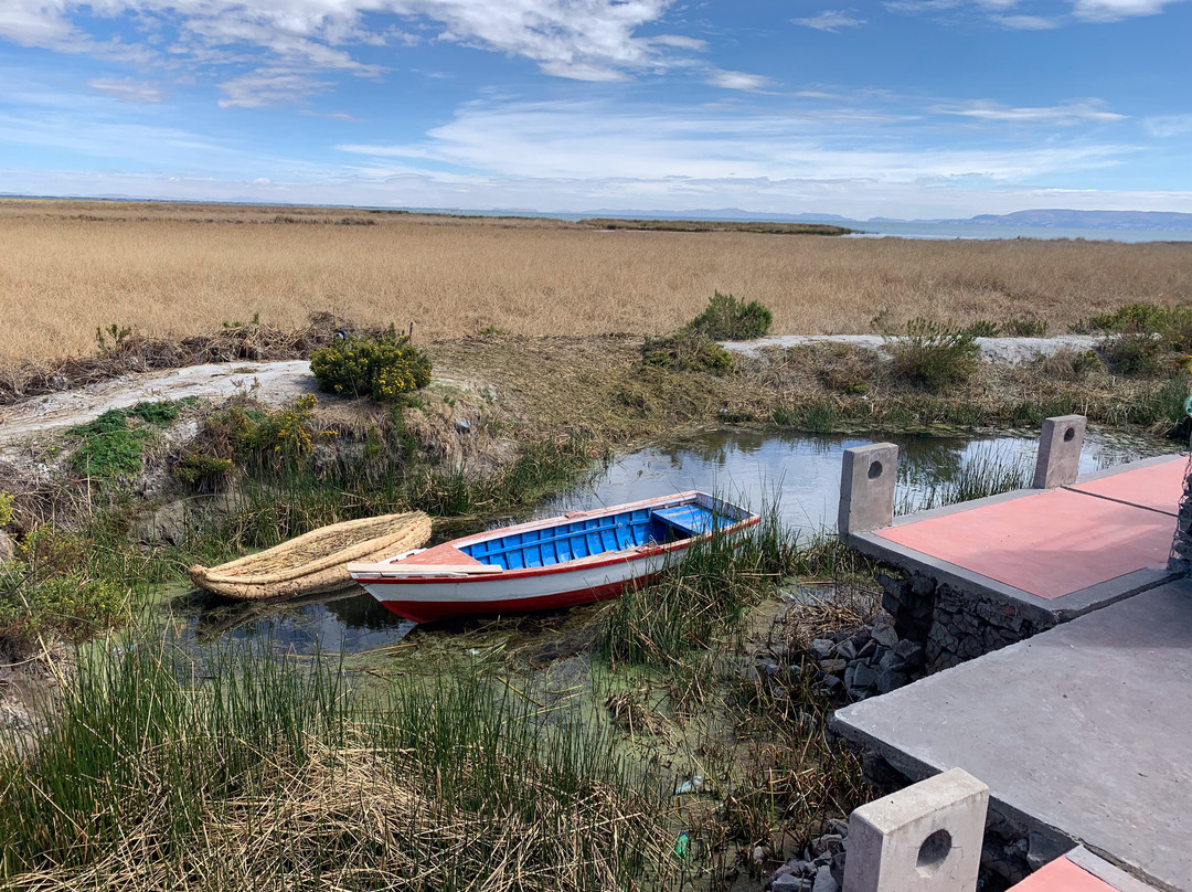 Taypikala Hotel Lago主图