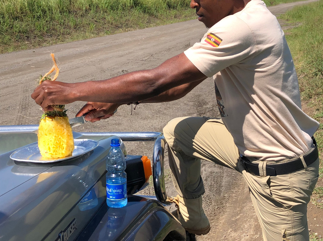 Shaka Tours & Travel Uganda-恩德培必去景点