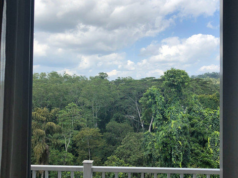 Bee View Home Stay主图