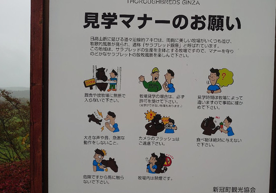 Thoroughbred Gina Parking Park-新冠町必去景点