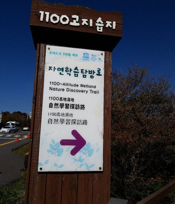 Jeju 1100 Altitude Wetland-西归浦市必去景点
