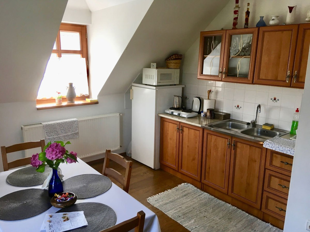 Krisztina Vendeghaz主图