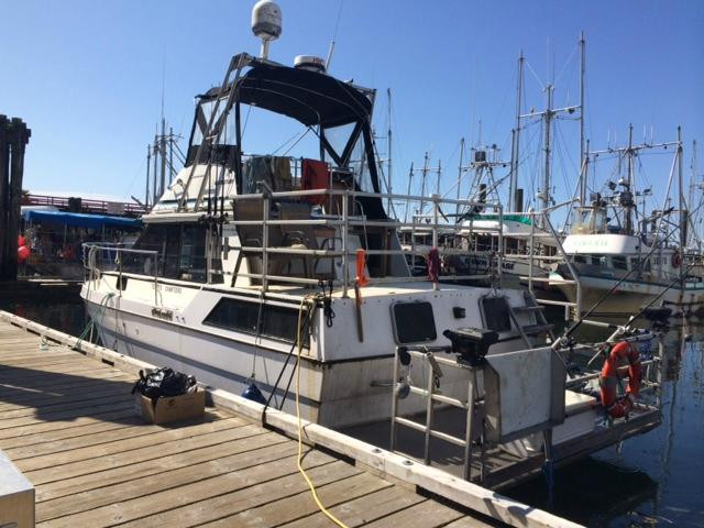 Terry's BC Fishing Charters景点图片