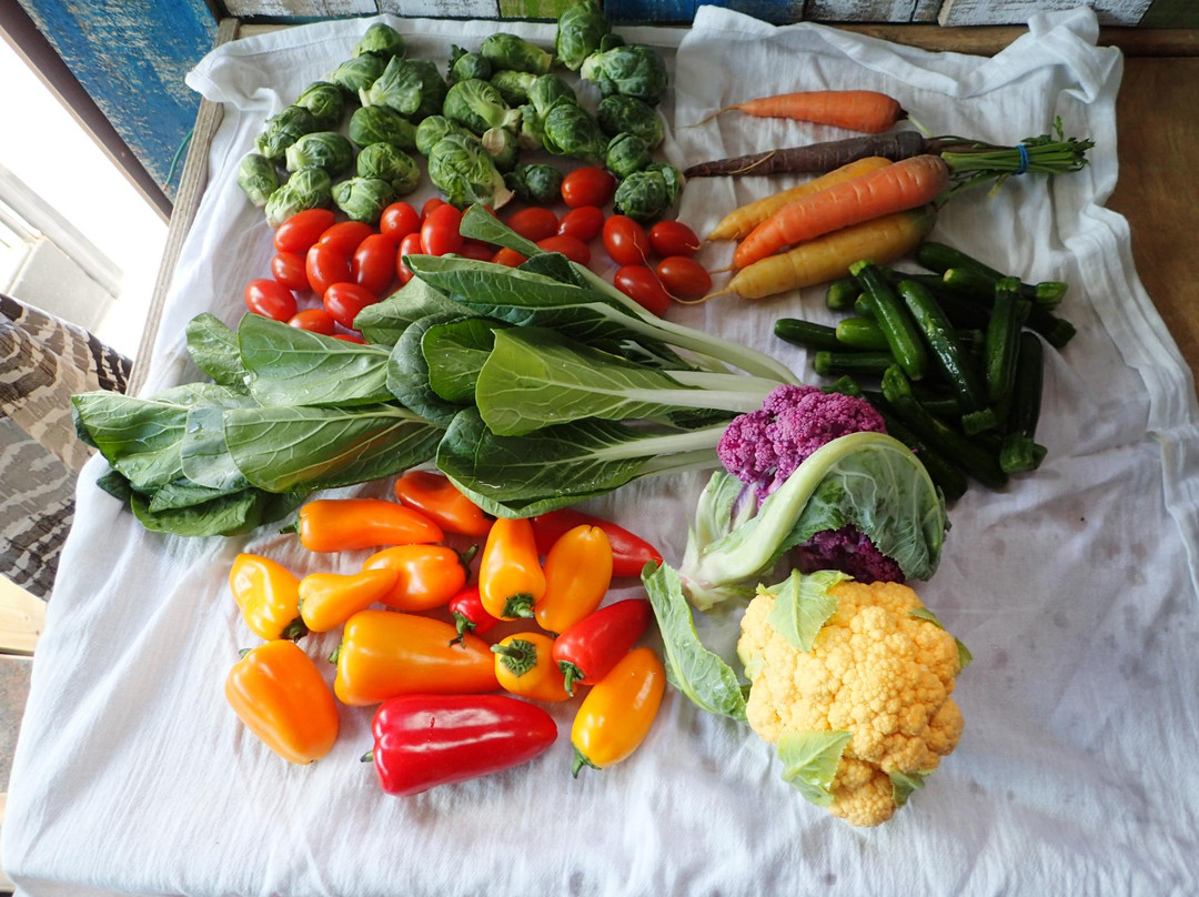 El Triunfo旅游景点-La Paz Farmers Market