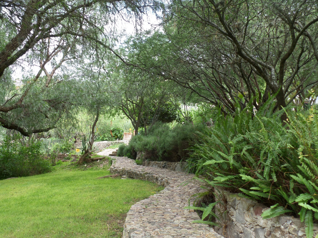 Don Chepe旅游景点-San Miguel Tai Chi