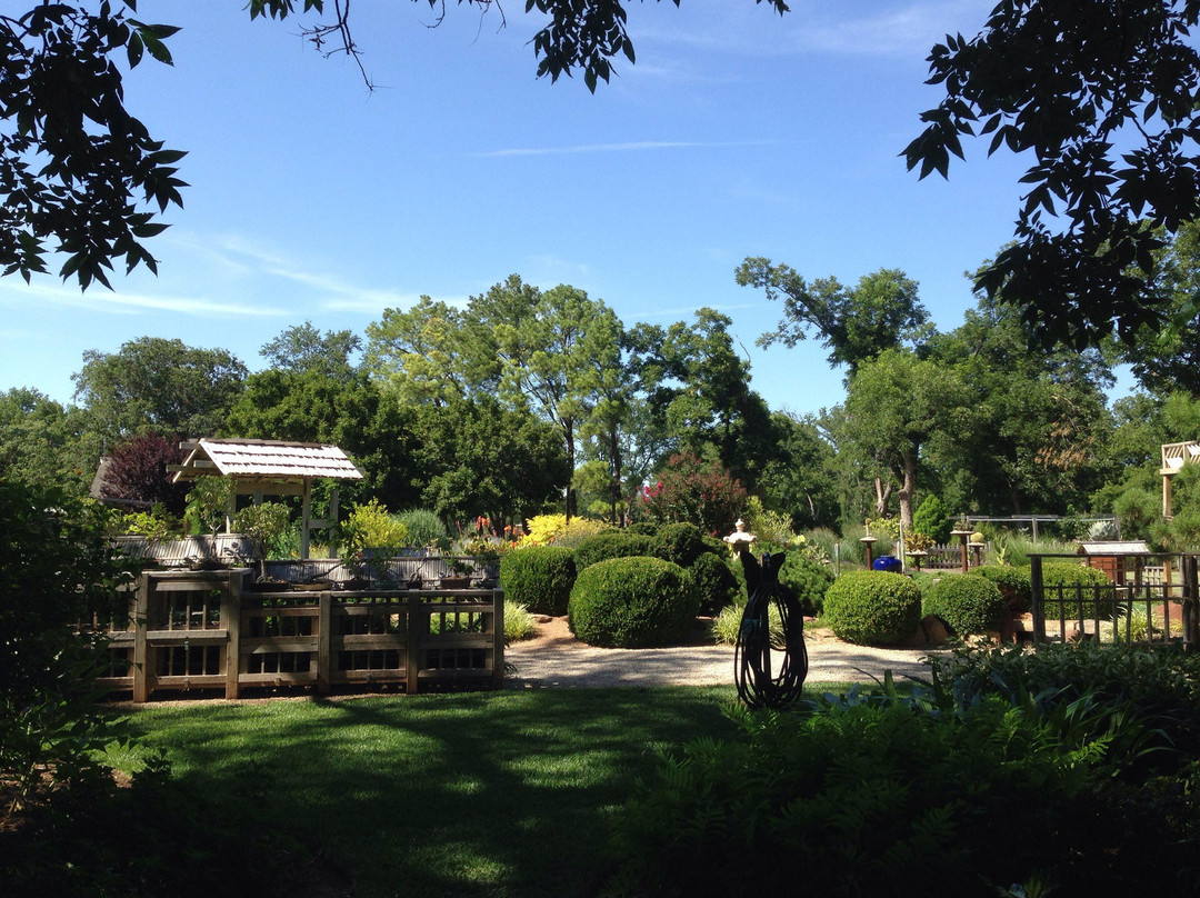 The Botanic Garden景点图片