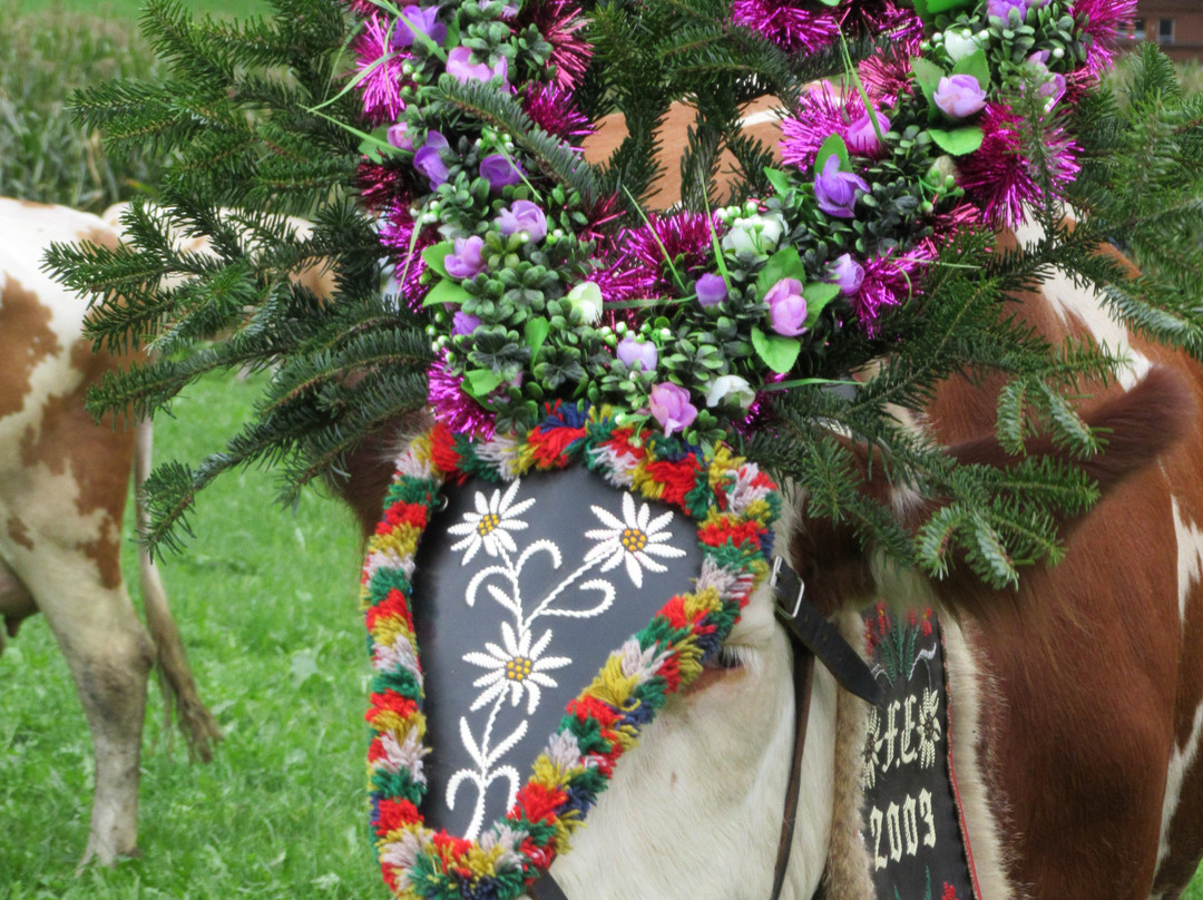 Ferienhotel Sonnenhof主图