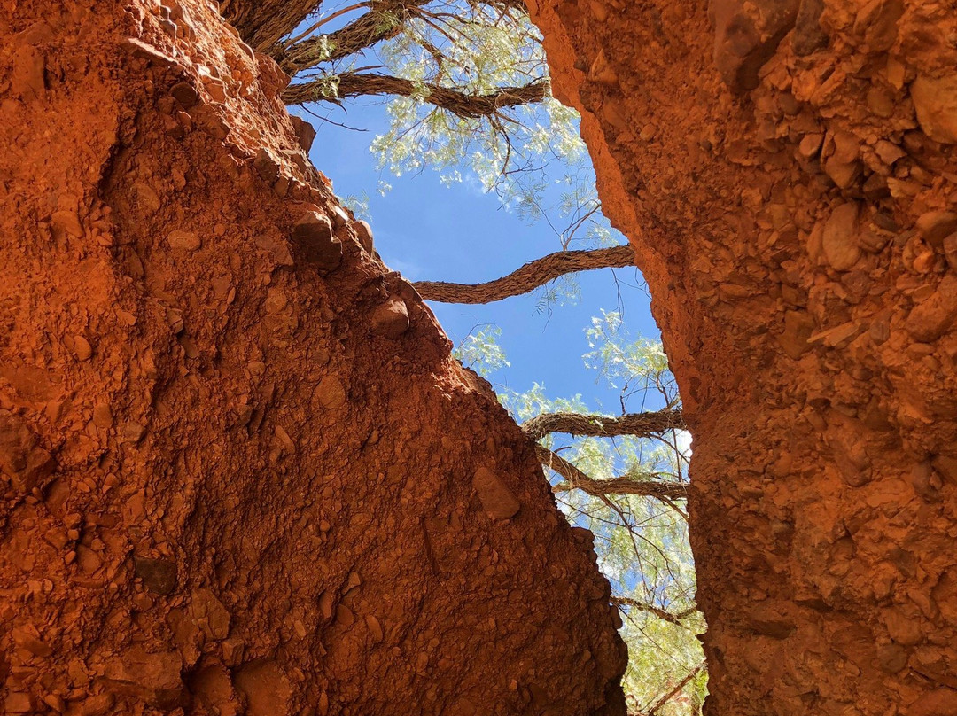 Canon del Inca-Tupiza必去景点