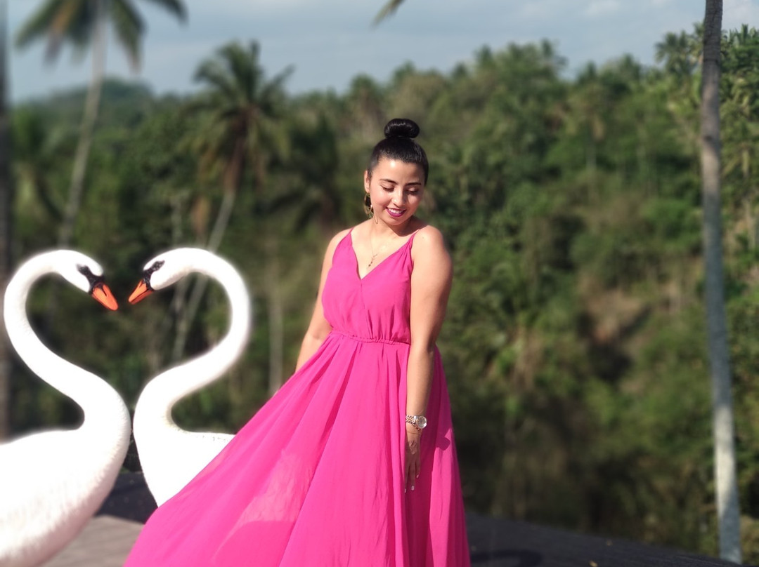 Ubud Good Driver景点图片