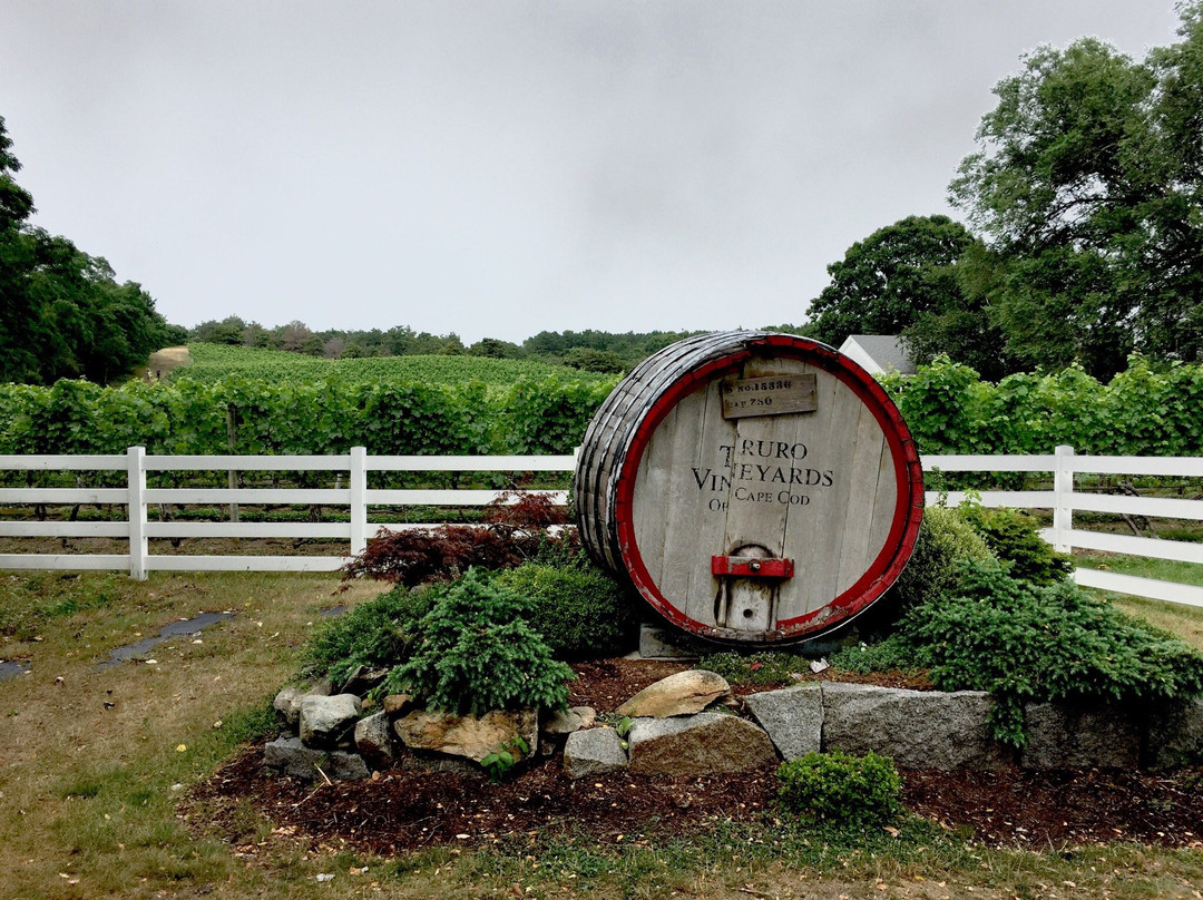 Truro Vineyards of Cape Cod景点图片