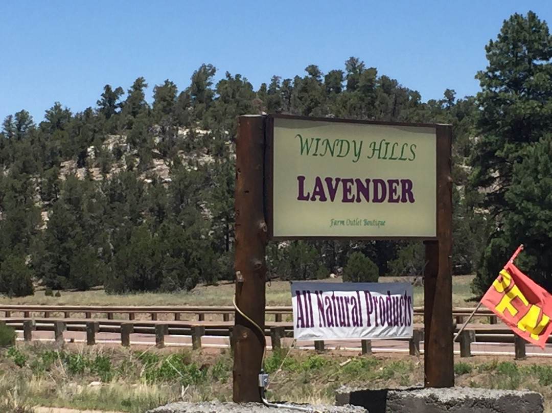 Windy Hills Lavender Boutique景点图片