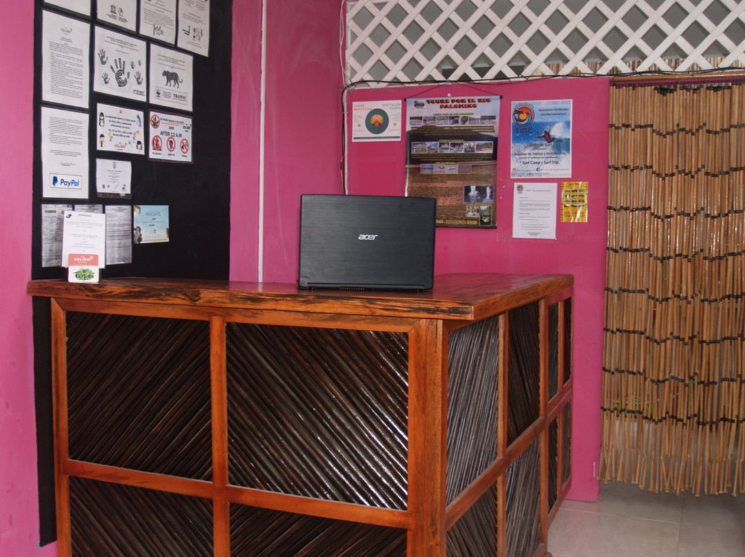 Casa Colibri Palomino主图