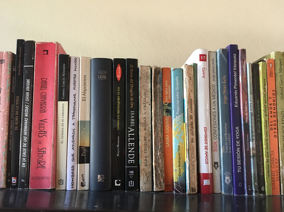 Casa Colonial Carmen主图