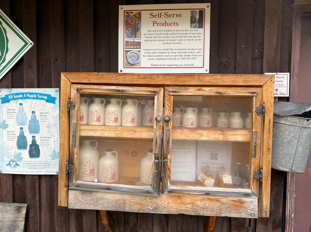 Uihlein Maple Research Forest-普莱西德湖必去景点