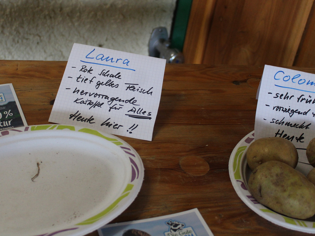 Heichelheim旅游攻略图片