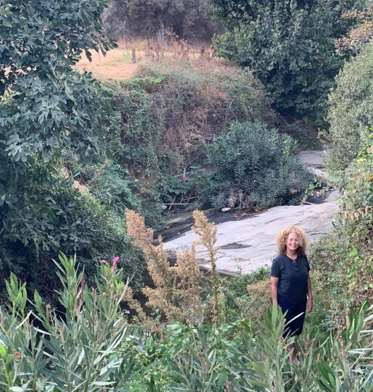 Andros Routes-Andros Town必去景点