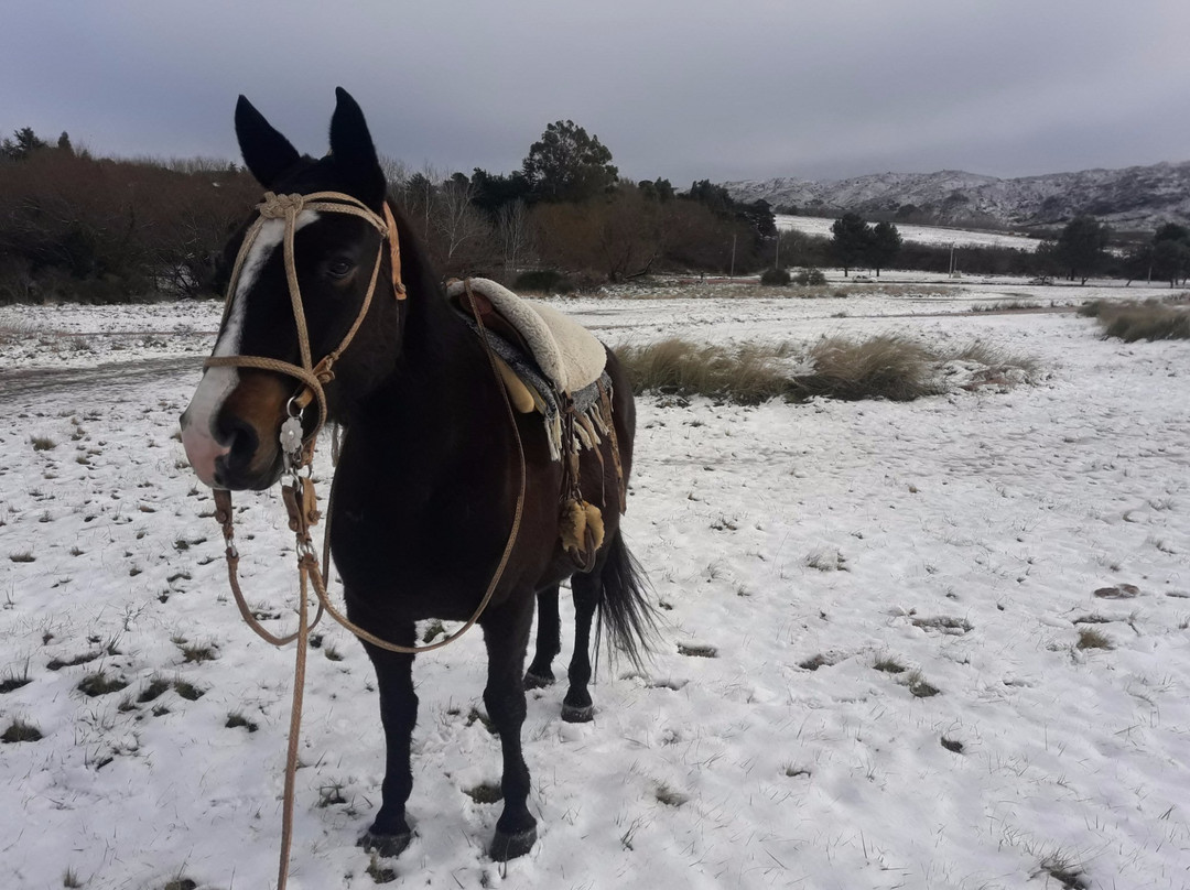 Cabalgatas El Pampa-Villa Ventana必去景点
