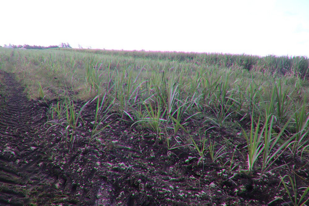 Le sentier de Deville-Maisoncelle-Petit-Canal必去景点