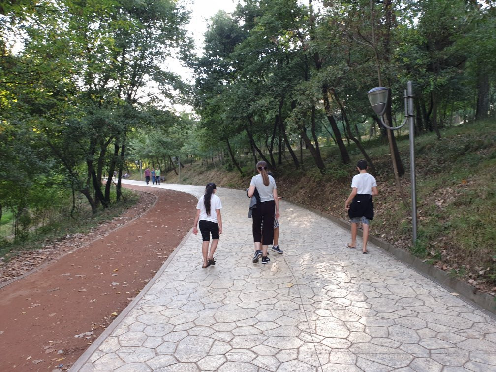 Liqeni Artificial i Tiranes-地拉那必去景点