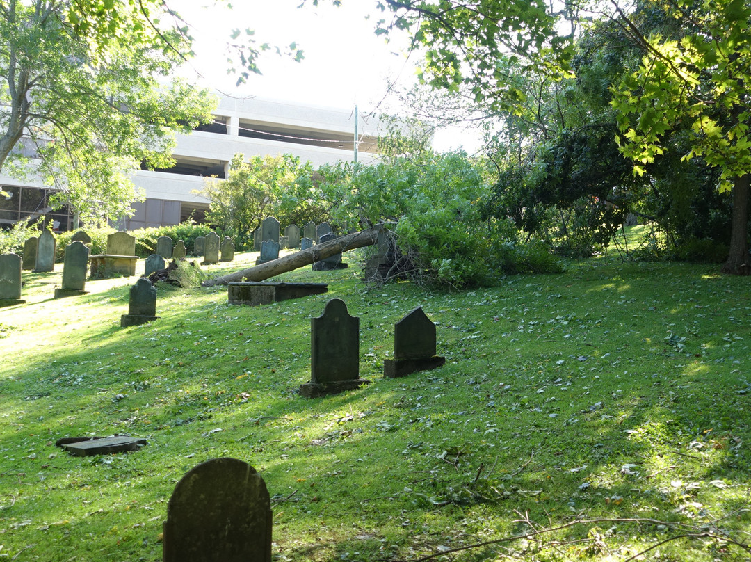 Loyalist Burial Ground-圣约翰必去景点