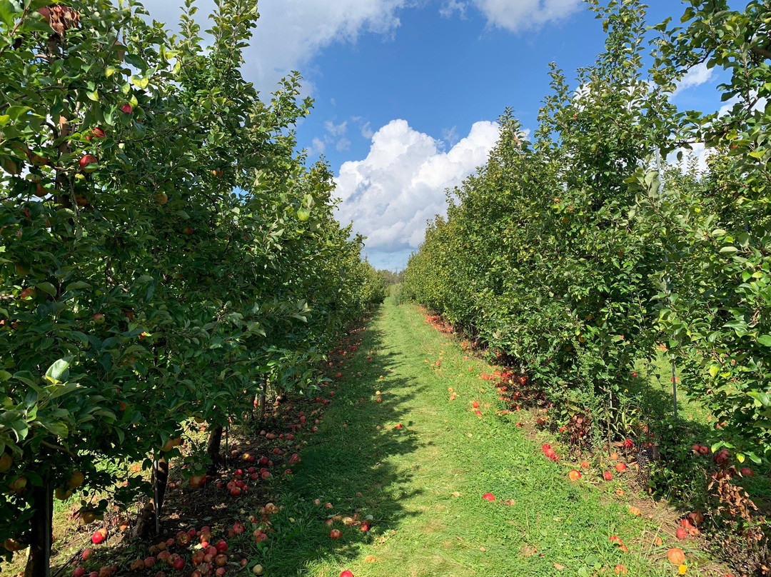 Whitter Fruit Farm景点图片