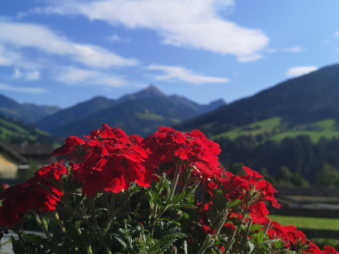 Wiedersbergerhornbahn-高山溪必去景点