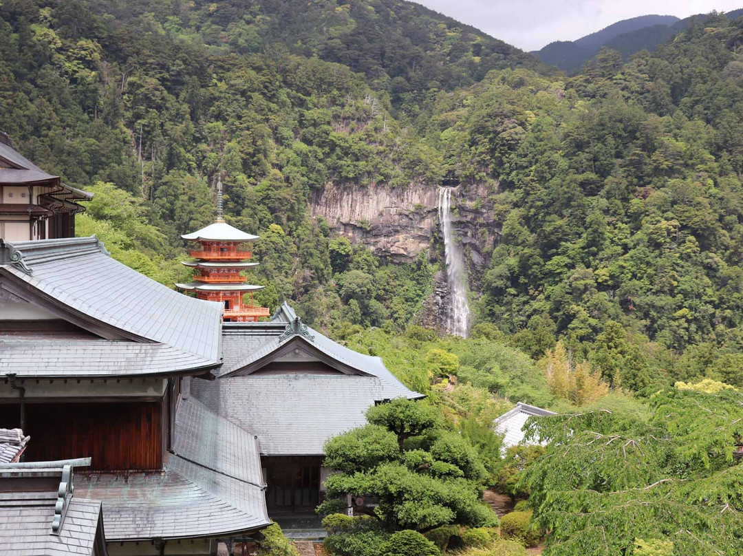 Nachi Primeval Forest-那智胜浦町必去景点