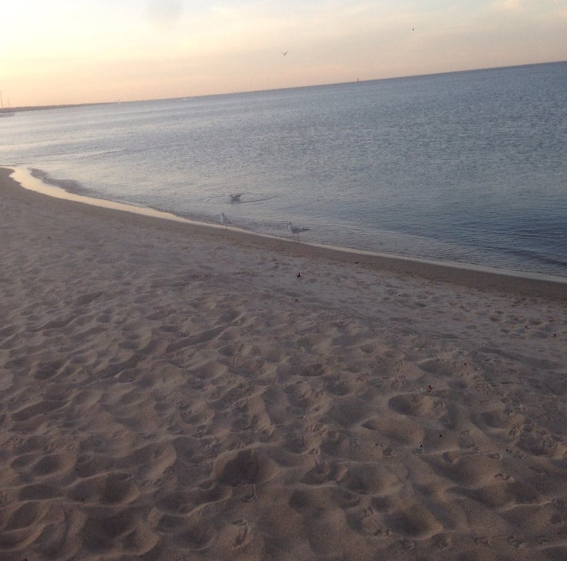 Gillson Park-Wilmette必去景点