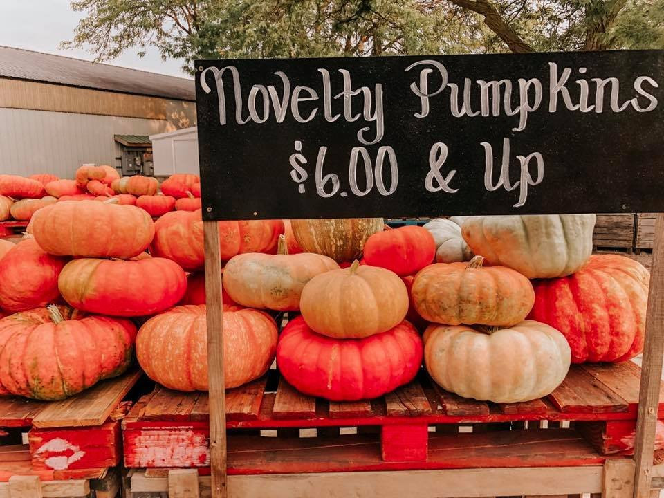 Jerry Smith Produce & Pumpkin Farm景点图片