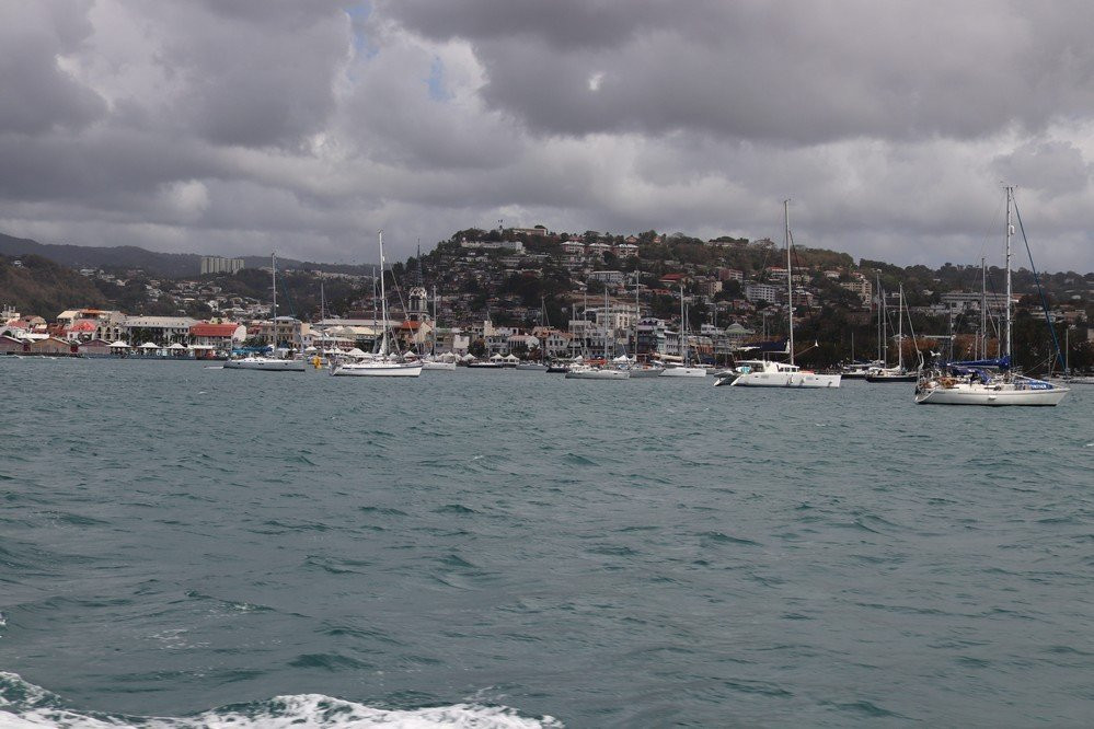 Vedettes Tropicales-法兰西堡必去景点