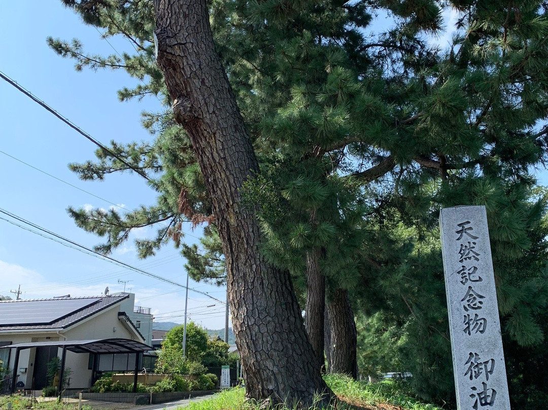 Goyu Street-丰川市必去景点