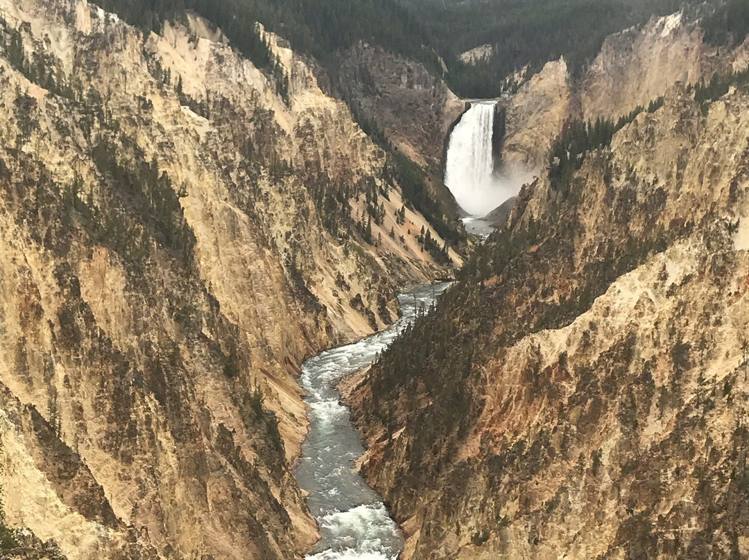 Yellowstone Tour Guides - Day Trips景点图片