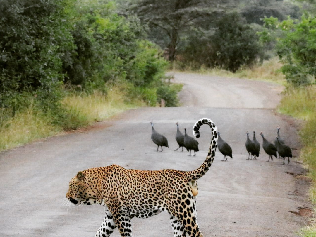 Luxing Warriors-内罗毕必去景点