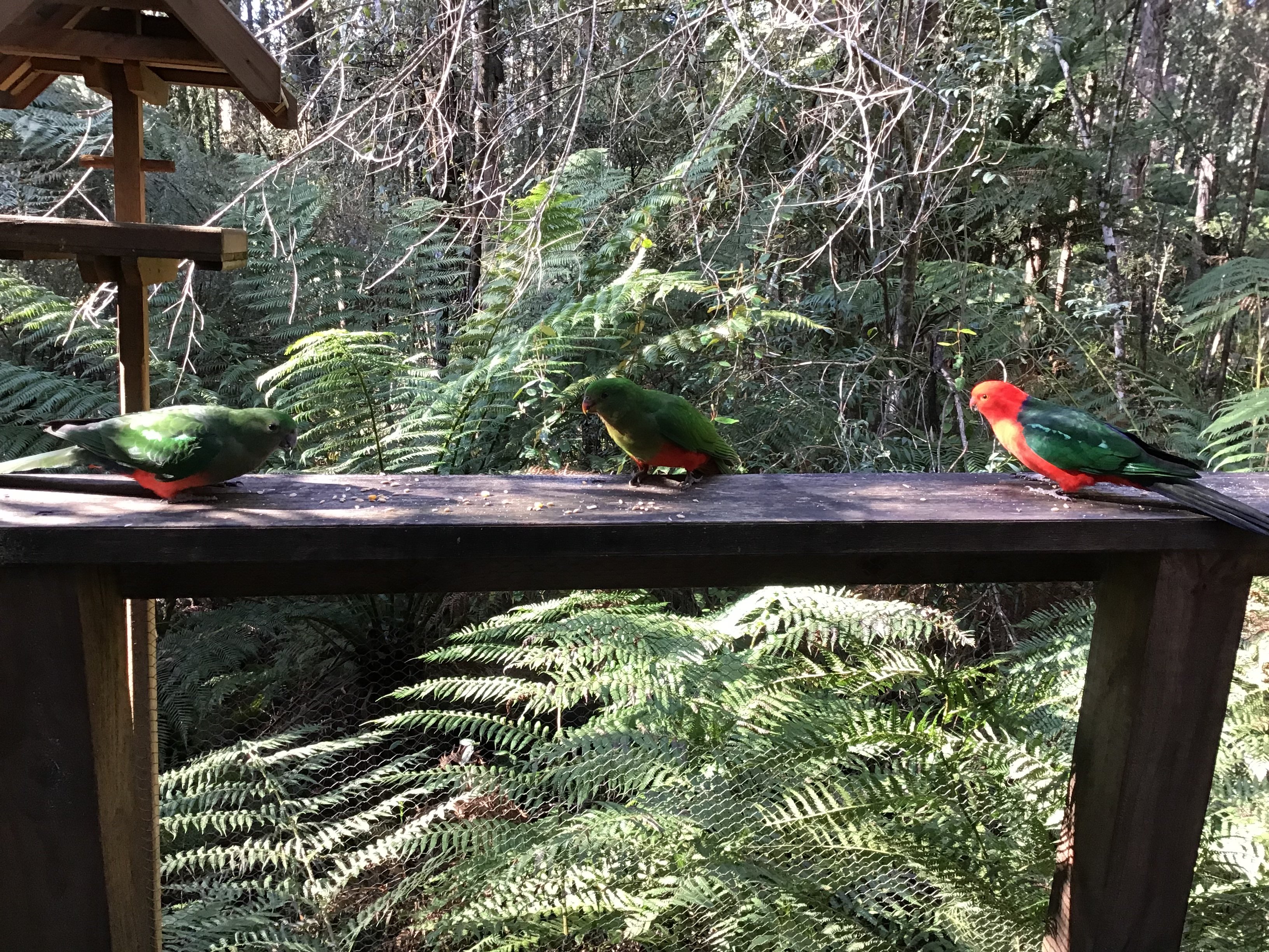 乌兰雨林休闲村-酒店景观