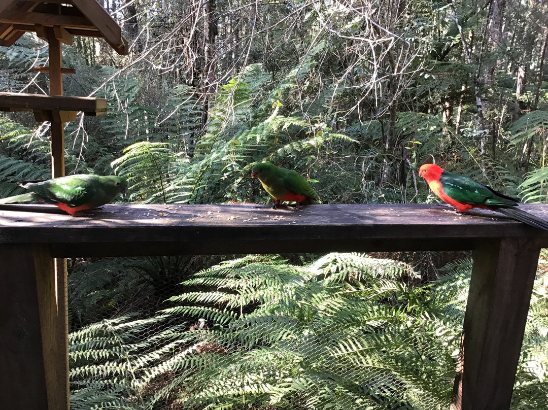 乌兰雨林休闲村主图