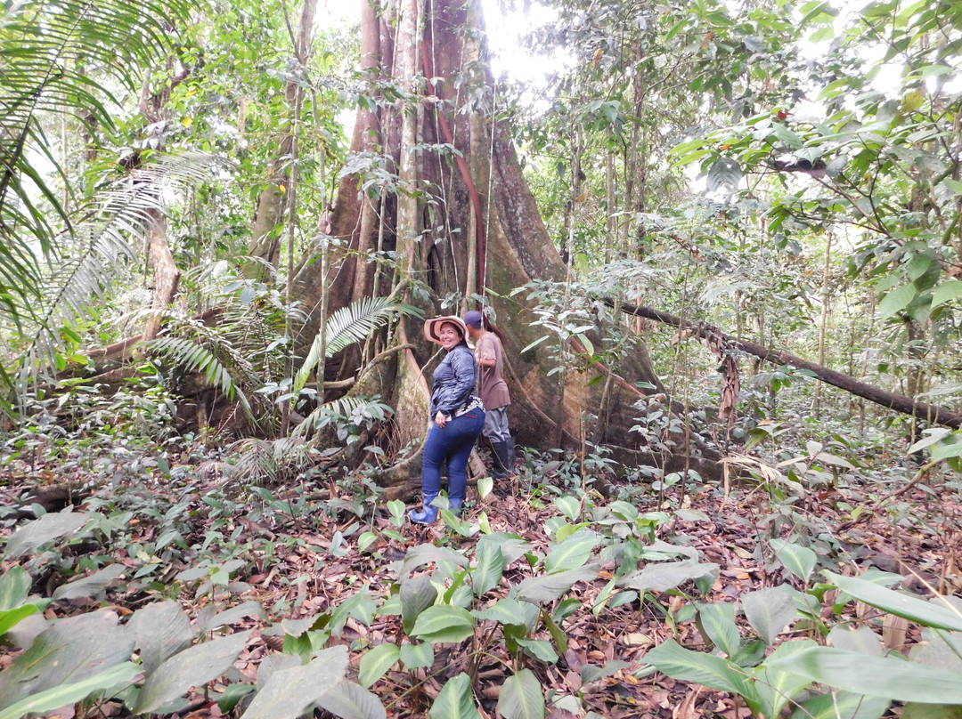 Esperanza旅游攻略图片