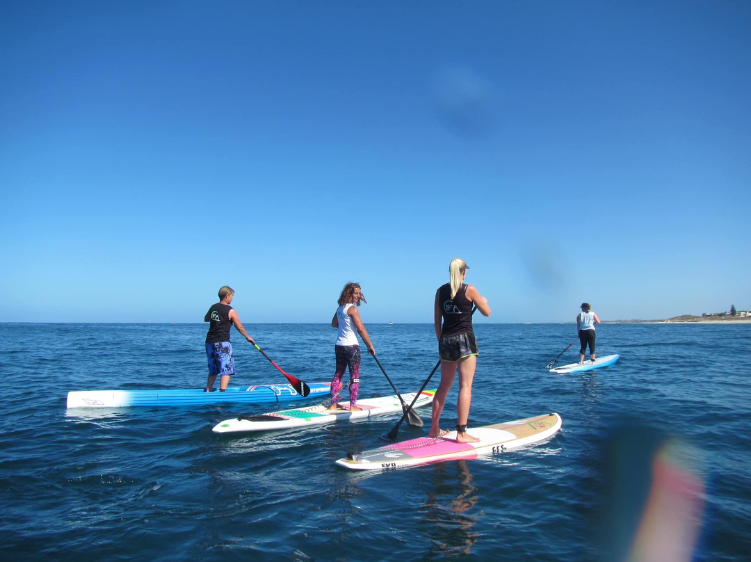 Stand Up Paddle Perth景点图片