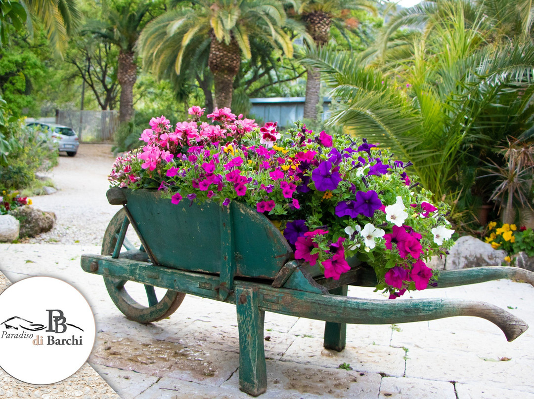 Agriturismo Paradiso di Barchi主图