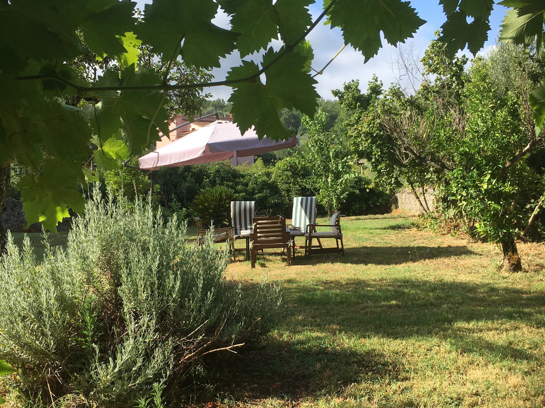 Agriturismo Il Ruscello Di Ceraso主图