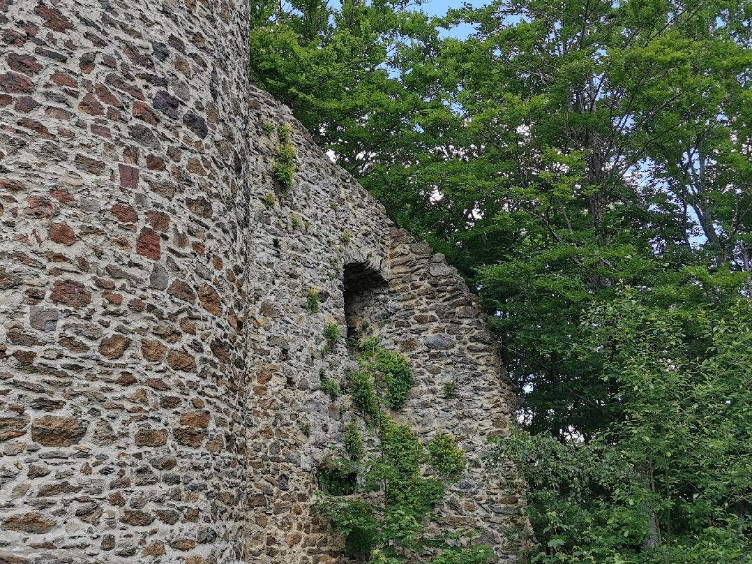 Burg Lichtenegg景点图片