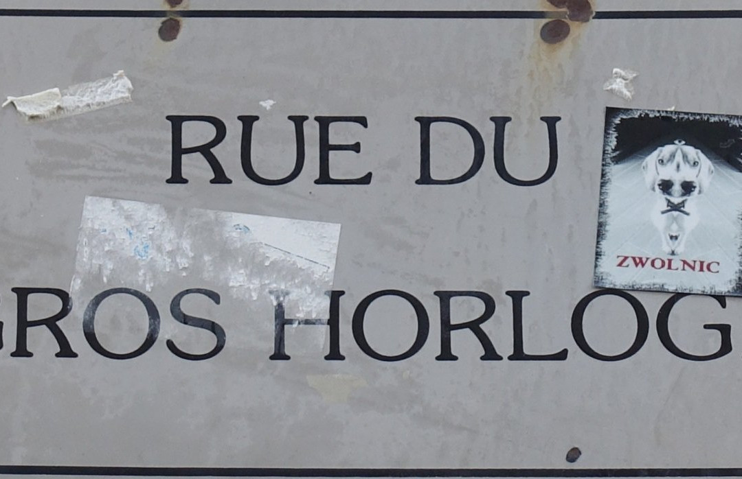 Rue du Gros-Horloge景点图片