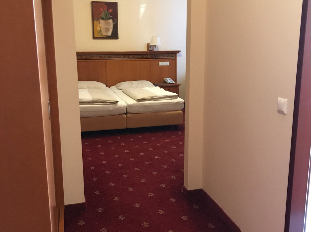 Hotel Alexandra主图