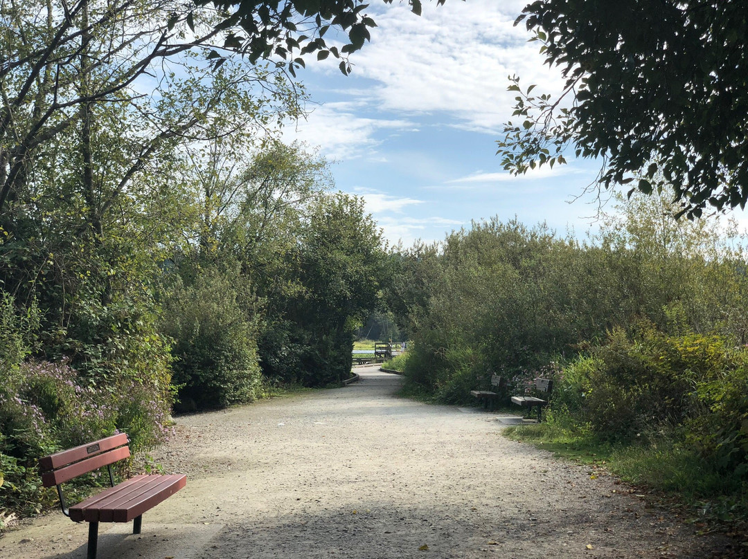 Burnaby Lake-本那比必去景点