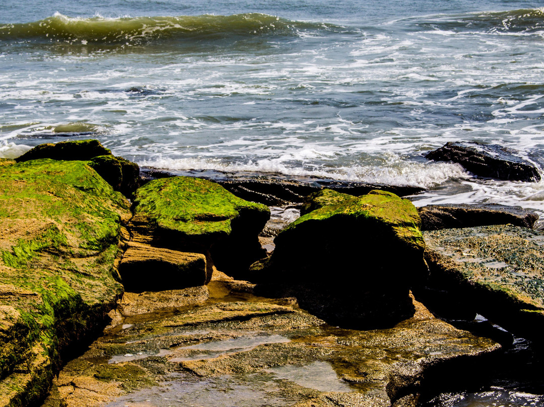 Coquina Outcrop景点图片