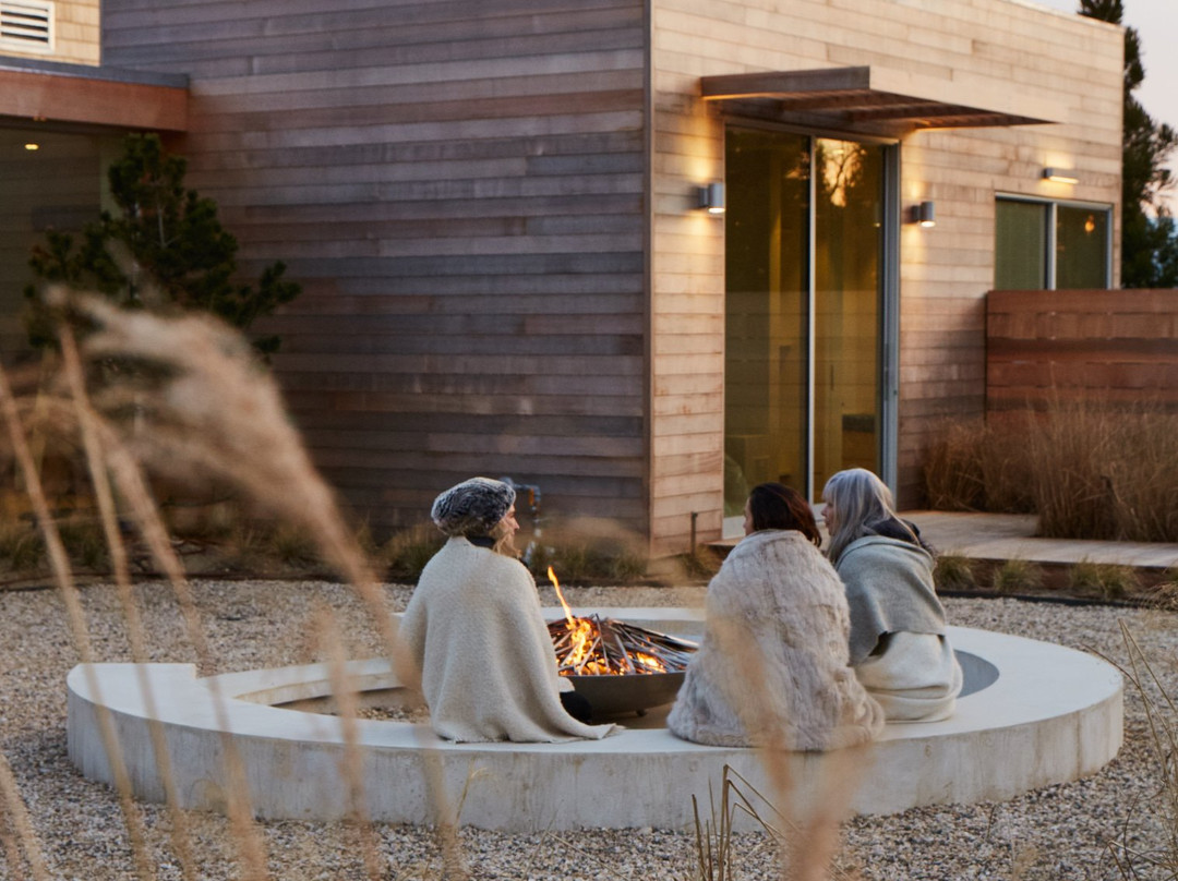 Shou Sugi Ban House主图