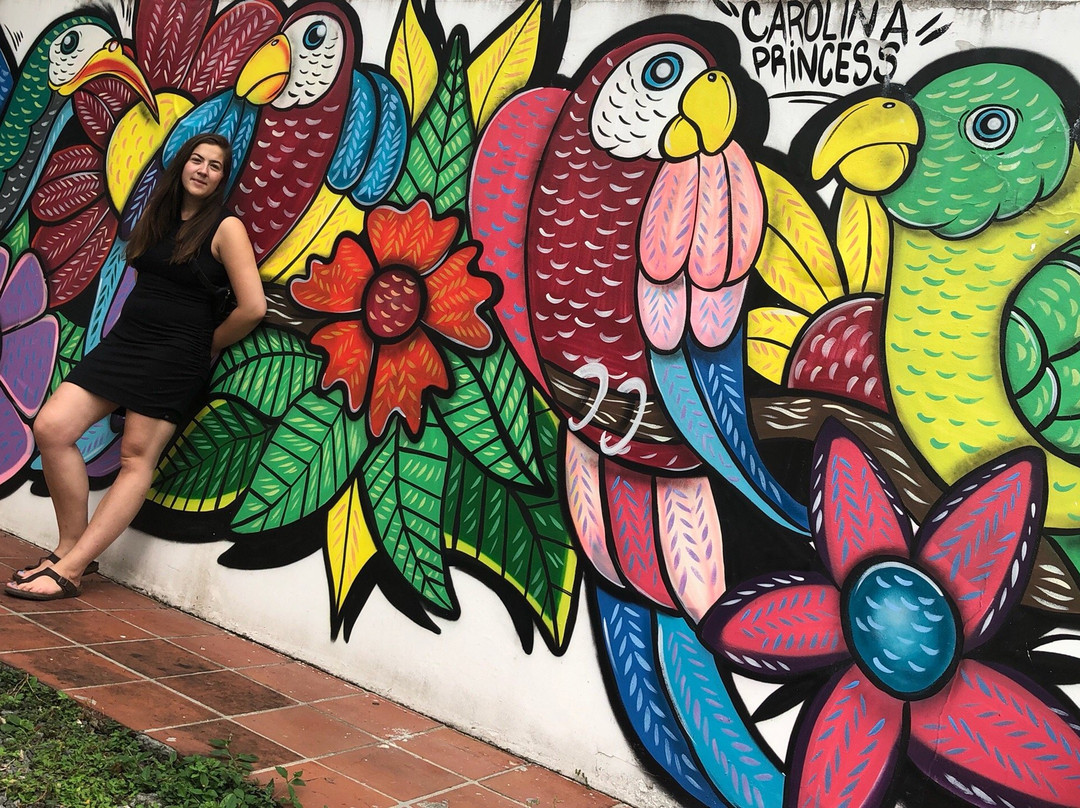 Hotel Carolina Princess主图