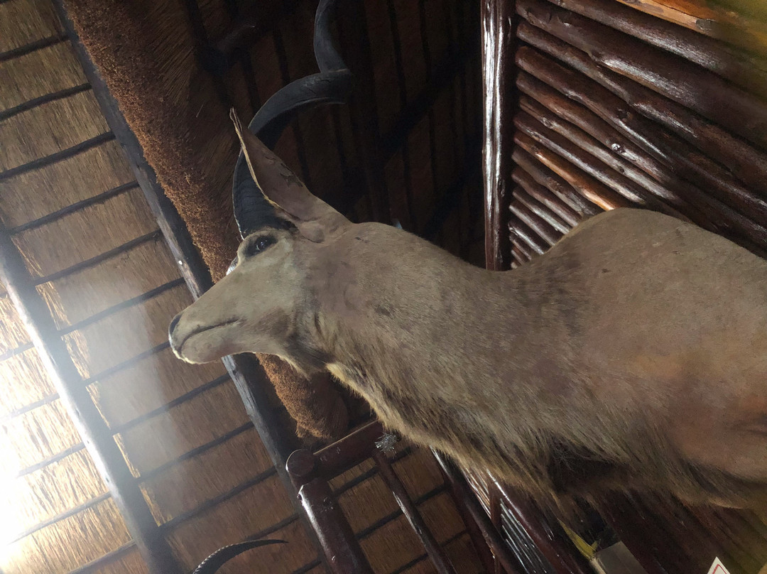 Dei Gratia Guest House主图